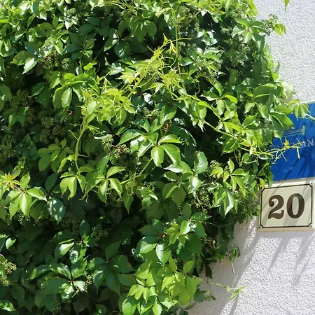 Apartment Anchor
